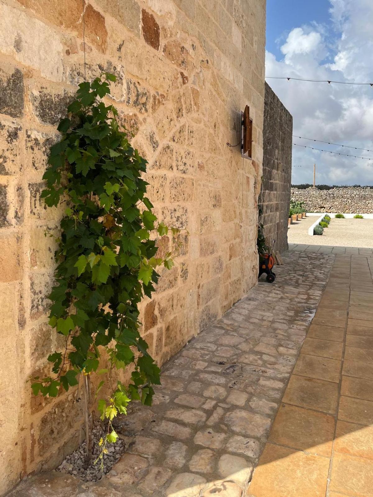 Masseria Voluzzi Copertino Exterior foto